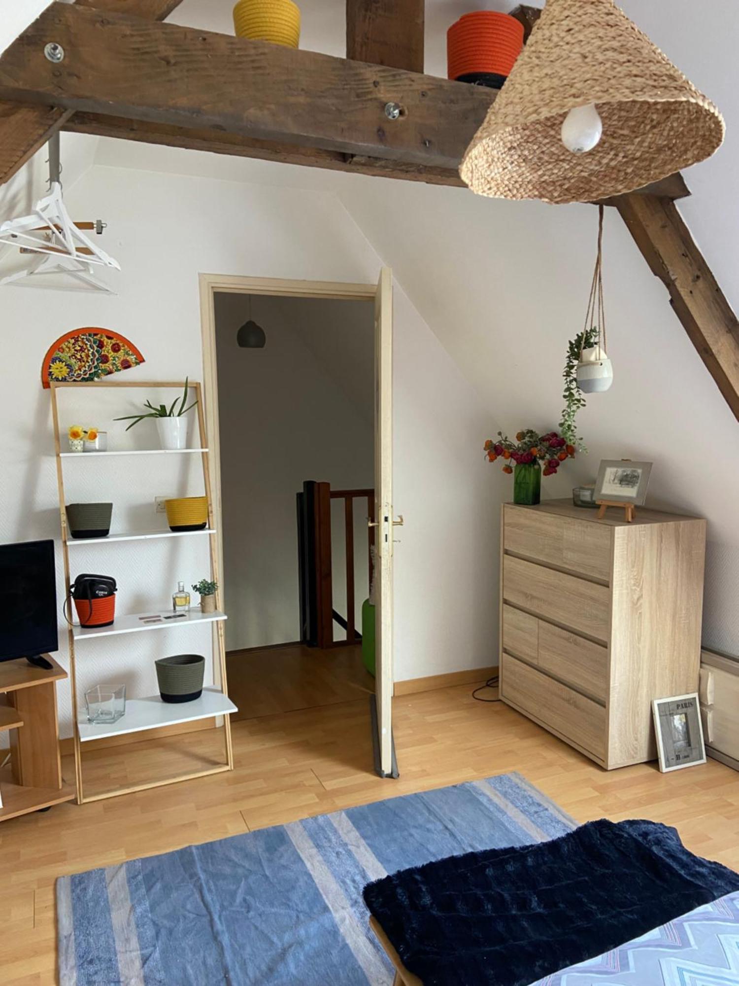 Chez Mag Apartment Lille Exterior photo